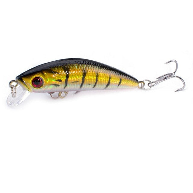 Fishing Lure Minnow