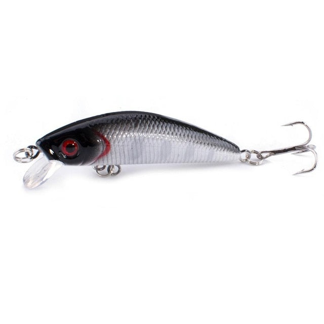 Fishing Lure Minnow